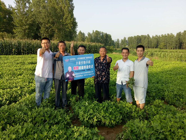 上蔡验收唤醒效果