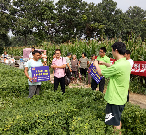 确山地鹰花生观摩会