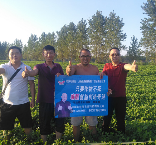 农户对唤醒竖起大拇指