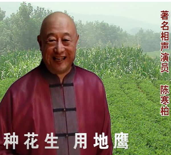 陈寒柏代言地鹰