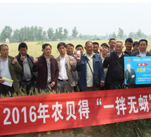 农贝得一拌无蚜新闻