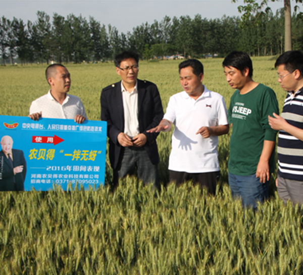 一拌无蚜-一拌一季无虫