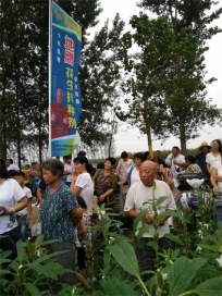 上蔡县地鹰花生拌种和小麦拌种剂推广会