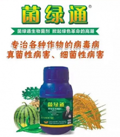 农贝得公司菌绿通产品的特点功能