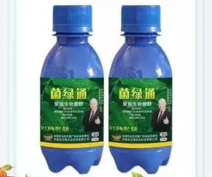 菌绿通的产品功效有什么