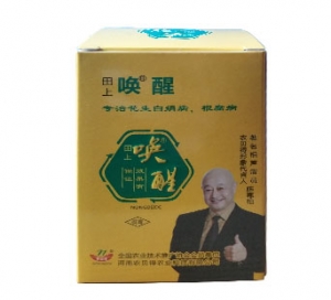 洛阳唤醒