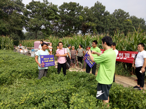 确山地鹰花生拌种剂观摩会_副本.jpg