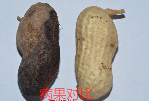 微信截图_20160907135405_看图王.png