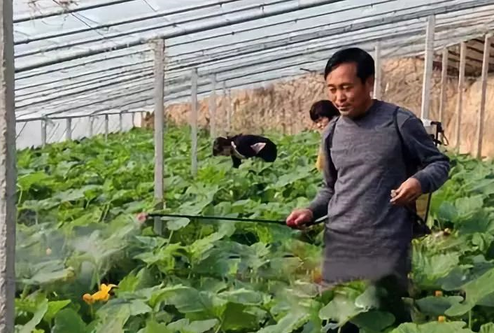 河南拌种剂,拌种剂厂家,河南拌种剂厂家