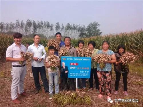 1544587179114158.jpg 微信图片_20181211165112.jpg