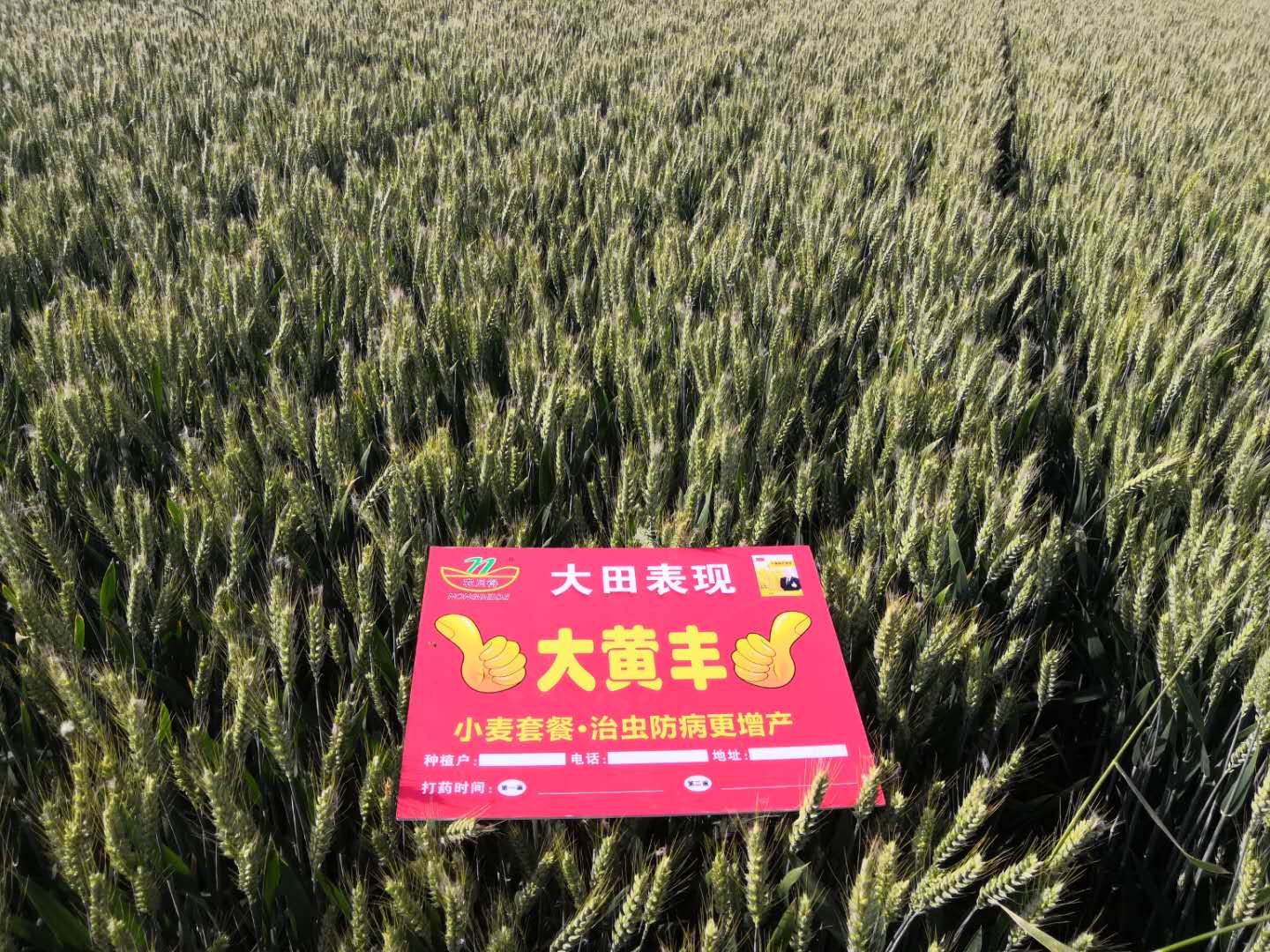 1559029627672976.jpg 微信图片_20190514085617.jpg