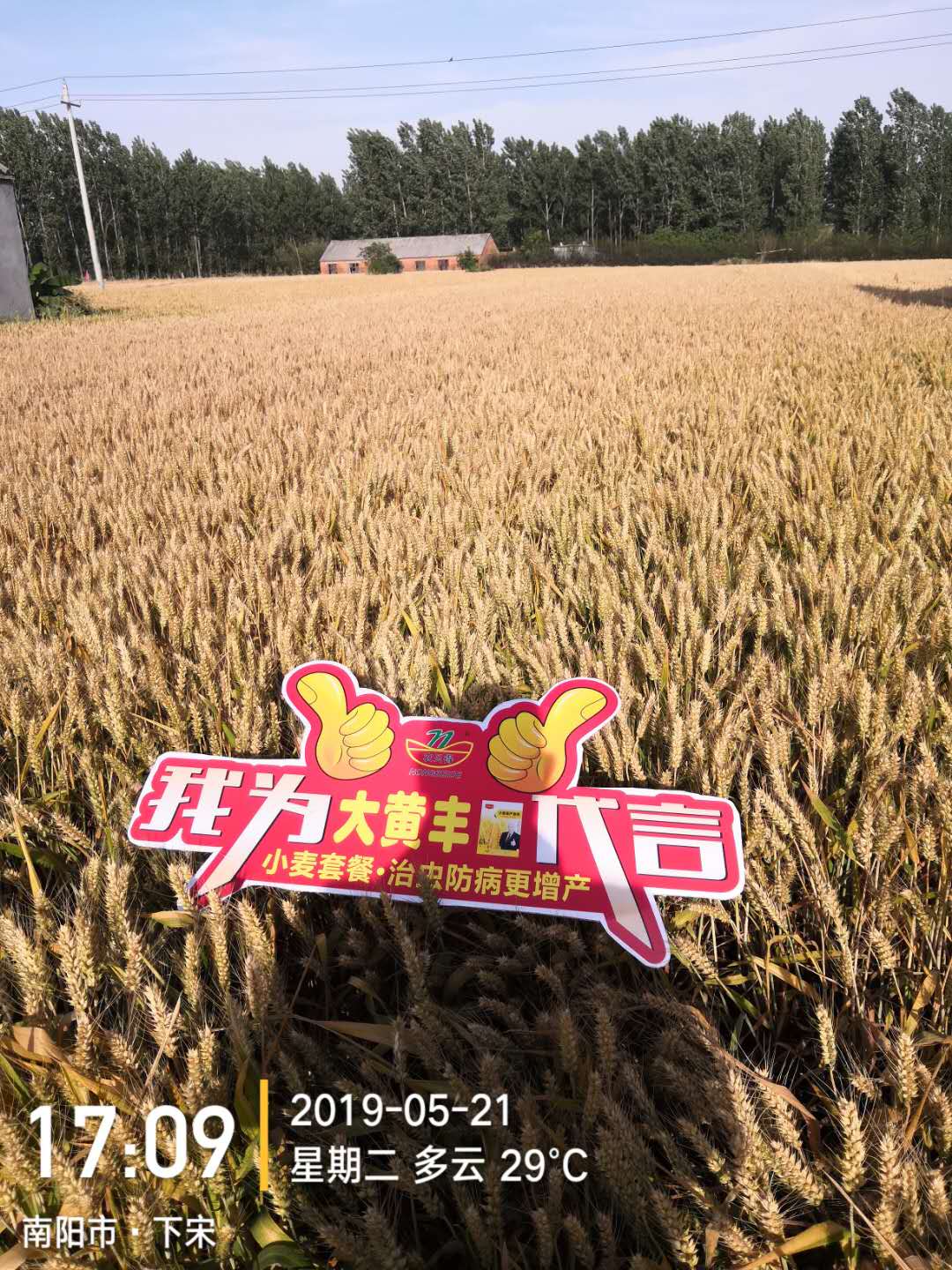 1559029667180956.jpg 微信图片_20190522093718.jpg