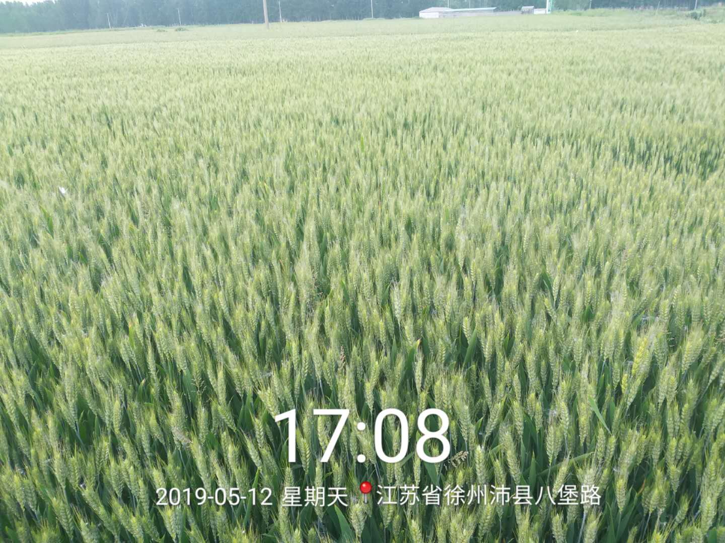1559030291587320.jpg