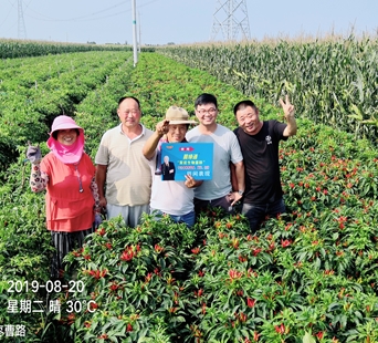 拌种剂,拌种剂厂家,河南拌种剂