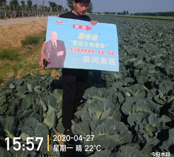 拌种剂,拌种剂厂家,河南拌种剂